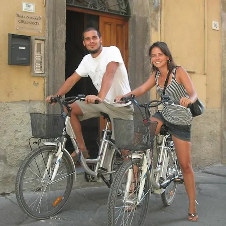 Bed & Breakfast Orchard *