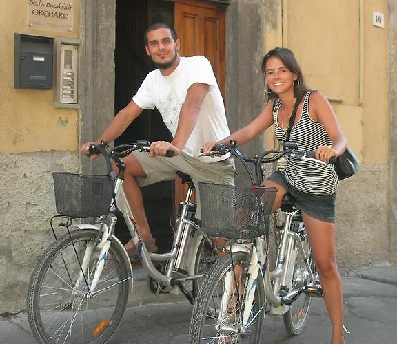 Alojamento de Acomodação e Pequeno-almoço Orchard *